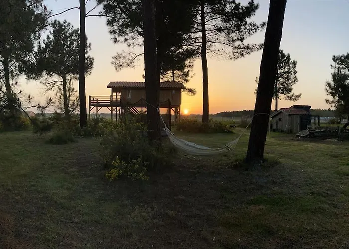 L'observatoire De L'aerogrange بيسكاروس