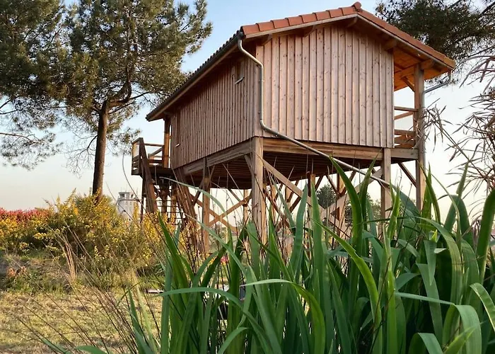 بيت للعطل L'observatoire De L'aerogrange بيسكاروس