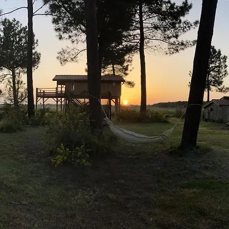 L'observatoire De L'aérogrange Biscarrosse