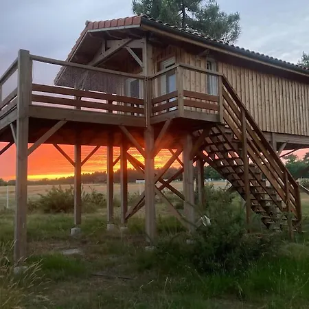 Vakantiehuis L'observatoire De L'aerogrange Biscarrosse