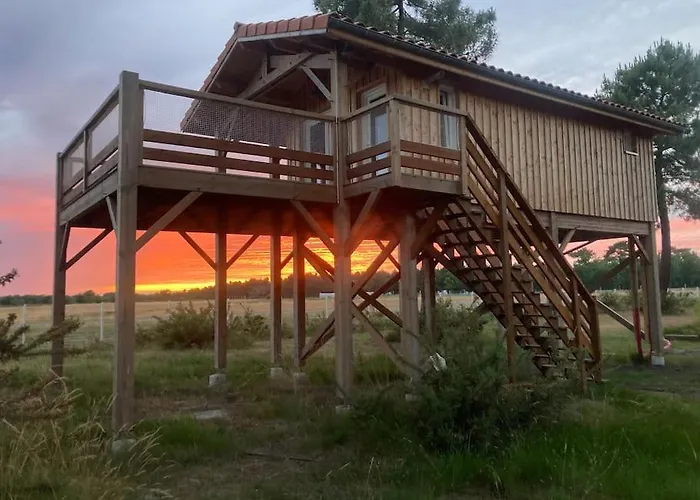 Vakantiehuis L'observatoire De L'aerogrange Biscarrosse